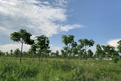 Loturi de teren pentru constructii de case in Paradise Valey - 2