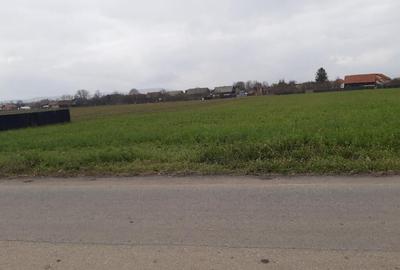 Vanzare teren intravilan bine pozitionat construibil 2325mp - 7