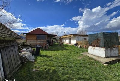 Casă cu 3 camere cu Teren 2876 Mp în Central - 3