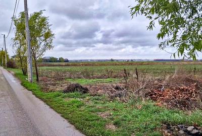 Teren intravilan, 1320 mp, la asfalt, in Balotesti - 8