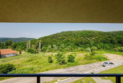 De vanzare pensiune in Sasca Montana - clasificare 3 margarete - 2