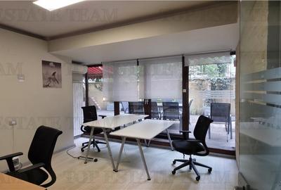 Birou/Apartament 4 camere cu gradina, zona Cismigiu - 7