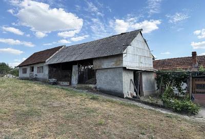 Casa cu teren 8000 mp. - Cetariu - IMOBIHOR - 8