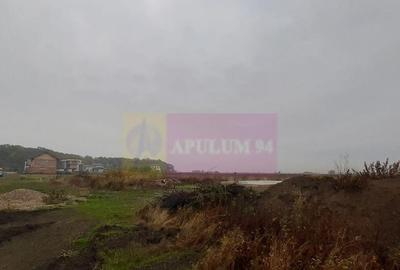 Teren de 5000 mp, în Corbeanca