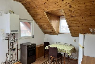 Garsoniera la casa terezian str mesteacanului et 1 - 17