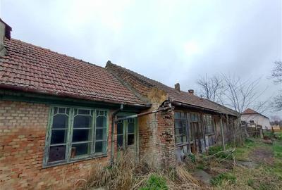 Casă individuală cu 4 camere cu Teren 1798 Mp în Iecea Mare - 12