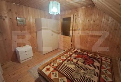 Cabana in colibita - 2