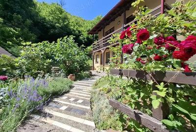 Str. Valea Rosie proprietate compusa din 2 imobile, casa P+M si una pe parter - 13