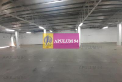 Hala productie sau depozitare și birouri langa Bucuresti - 10