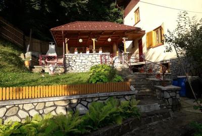 Casă cu 4 camere în Valea Doftanei - 7