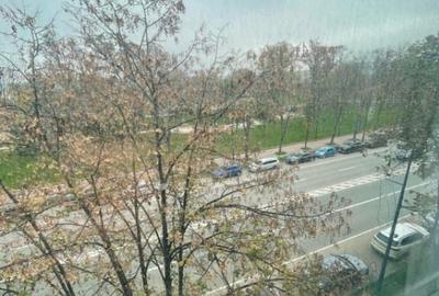 Studio + Centrala Proprie - Zona Tabacarie - 10