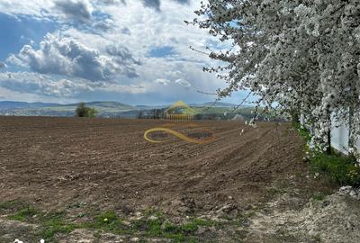 Teren de 4374 mp, în Hemeiuș - 1