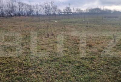 Teren intravilan Sanpetru - ideal c-tie casa- 500 mp - 4