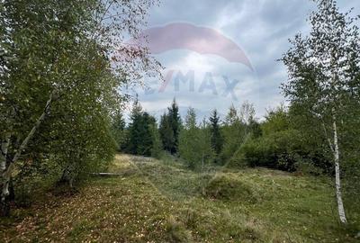 Teren extravilan parcelabil Calatele Padure, zona Dealu Negru - 3