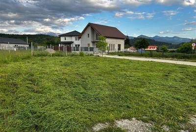 Teren  intravilan premium zona 0 in Talmaciu - 2