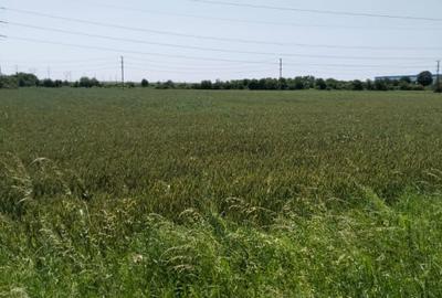 Teren de vanzare 7.360 mp  Oarja, Pasarela A1 Pret  25 760 euro 3,5 €/mp! - 3