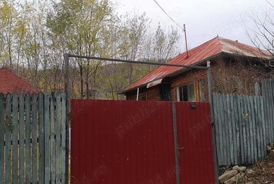 Casa de vanzare Salcia Prahova - 3