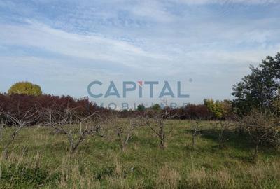 Teren extravilan 2000mp, front 50m, priveliste superba, Feleacu,  Wonderland - 3