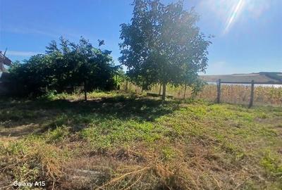RECO Casa de vanzare in Fegernic cu 2541mp teren - 10