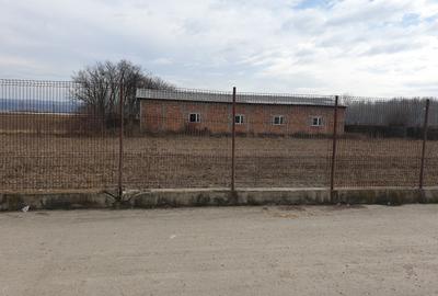 HALA 400 MP - ZIDARIE  IN CONSTRUCTIE-CU TEREN 6100 MP, DUBLU ACCES TIR BABENI - 5