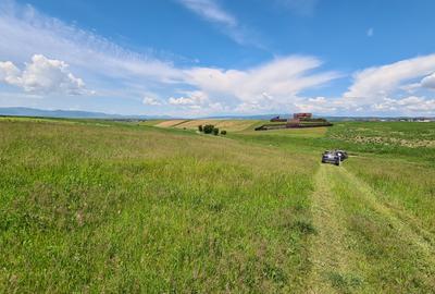 TEREN INTRAVILAN  BOD - 1200 mp pentru constructii case Sp+P+E+M - 5