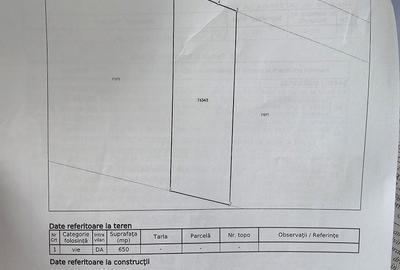Teren de 650 mp, în Vișan - 8