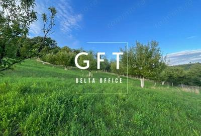 Teren de 2900 mp, în Dorolea - 2