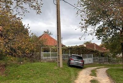 TEREN | 9341 MP | BALNACA GROSI | BIHOR - 3