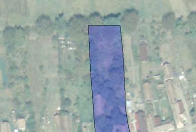 Casă cu 4 camere cu Teren 20024 Mp în Suplac - 3