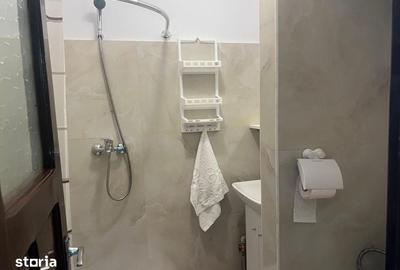 Garsonieră decomandată în Podu Roș - 7