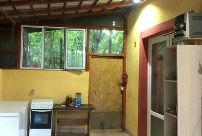 Vand casa in zona deosebita in comuna Razvad - 3