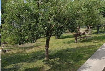 Casă cu 4 camere în Mihăileni - 3