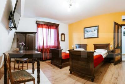 Conac de vanzare 7 camere cu bai proprii, crama, ciubar ? - 33