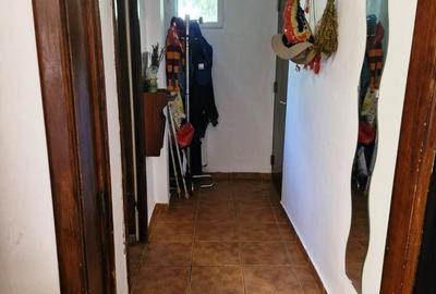 Mosilor-Izvorul Rece Mosilor-Izvorul Rece - 6