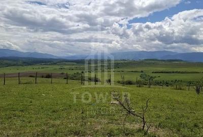 De vanzare, teren 11.500 mp – Dealul Dăii,  Vedere panoramică spre munți și lac - 5