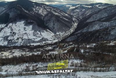 Teren intravilan 3127mp Front 47m | drum asfaltat | Plopi Valea Ierii - 1
