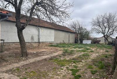 Casă cu 4 camere în Băile 1 Mai - 5