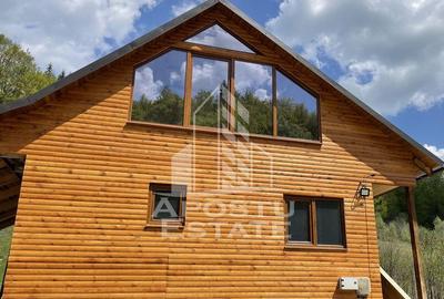 Cabana de inchiriat in Apuseni, Ciubar, Fara vecini, Fois... - 11