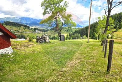 Teren de vis in Fundata 1934mp sau 3868mp, la inal?imea sufletului tau - 9