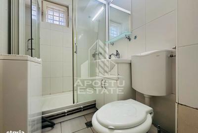 Apartament cu 2 camere, mobilat în Podgoria