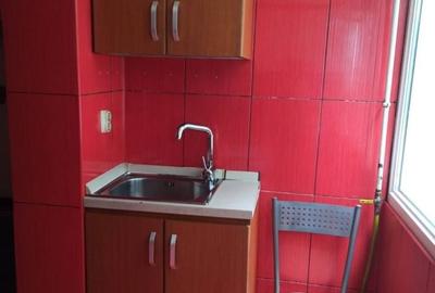 Apartament cu 2 camere decomandat în Trivale - 4
