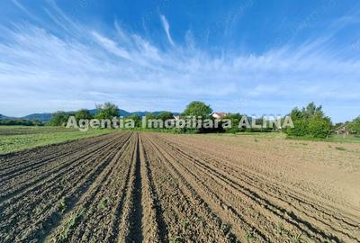 Teren de 4094 mp, în Central - 1