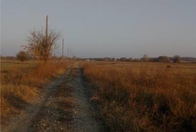 Loturi de teren intravilan Darasti-Ilfov - 3