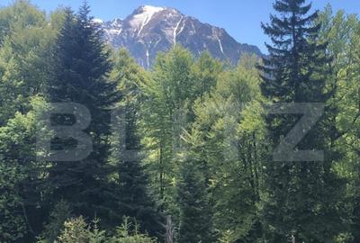 De vanzare, teren intravilan 10.000mp, Predeal - 18