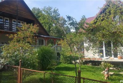 Casă cu Teren 2400 Mp în Cavnic - 5