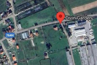 Reco Teren intravilan 600mp Beius - 1