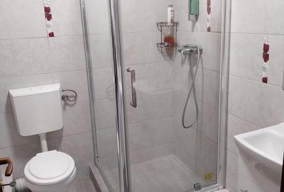 Vanzare proprietate cu doua case si intrari separate curte Giulesti - 11