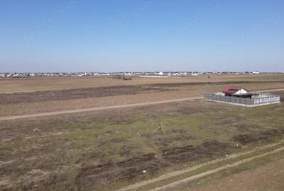 Teren de 319 mp, în Berceni - 7