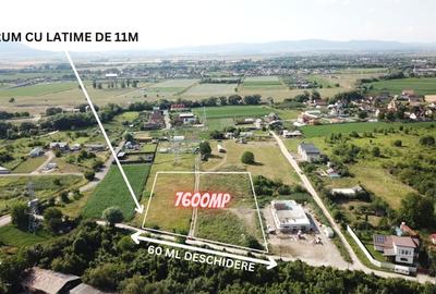 Teren Construcții intravilan de 7600 mp, în Bartolomeu