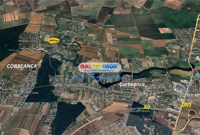 Teren Construcții intravilan de 2447 mp, în Corbeanca - 6